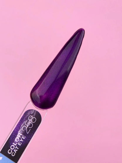 Color Cat Eye №258 13ml