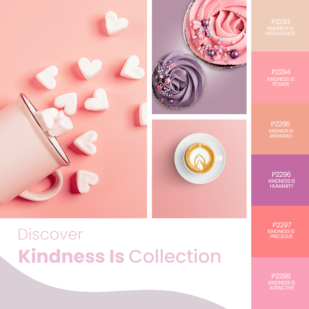 Kit Kindness Is Collection