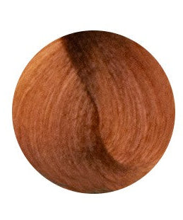 Violet Hair Cosmetics® Hair Dye Keratin Trendy 8.43 Light Blonde Golden Copper | Pipa Cosmetics