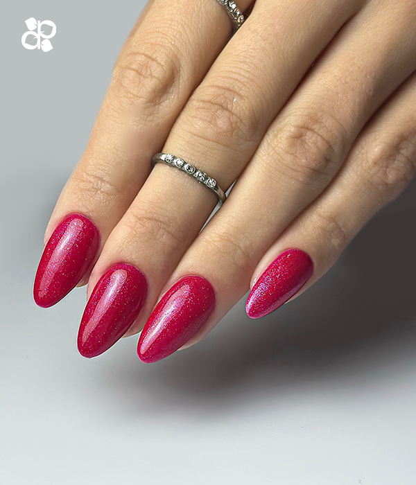 Gel Polish Houd het Chic